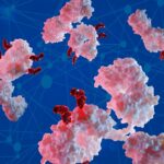 adc-developmentfrom-concept-to-clinic