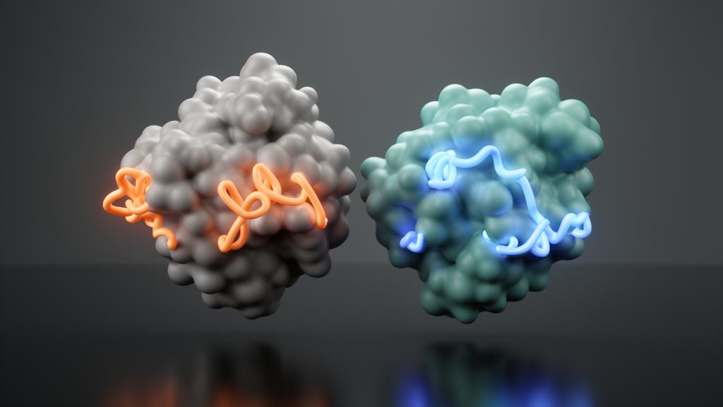 machine-learning-reveals-hidden-conformational-signatures-of-resistant-kras-mutants