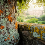 botanic-garden-of-pisa-reveals-hidden-lichen-richness-in-the-heart-of-a-city