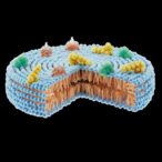 diasome’s-hdv-insulin-for-t1d-finalizing-phase-iii-plans-after-promising-data