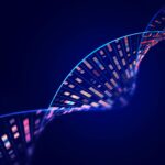 ashg:-long-read-genomics-meets-clinical-data-in-pacbio,-verily-health-ai-deal