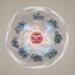 review-links-oas1-regulation-to-hiv-restriction-and-persistence