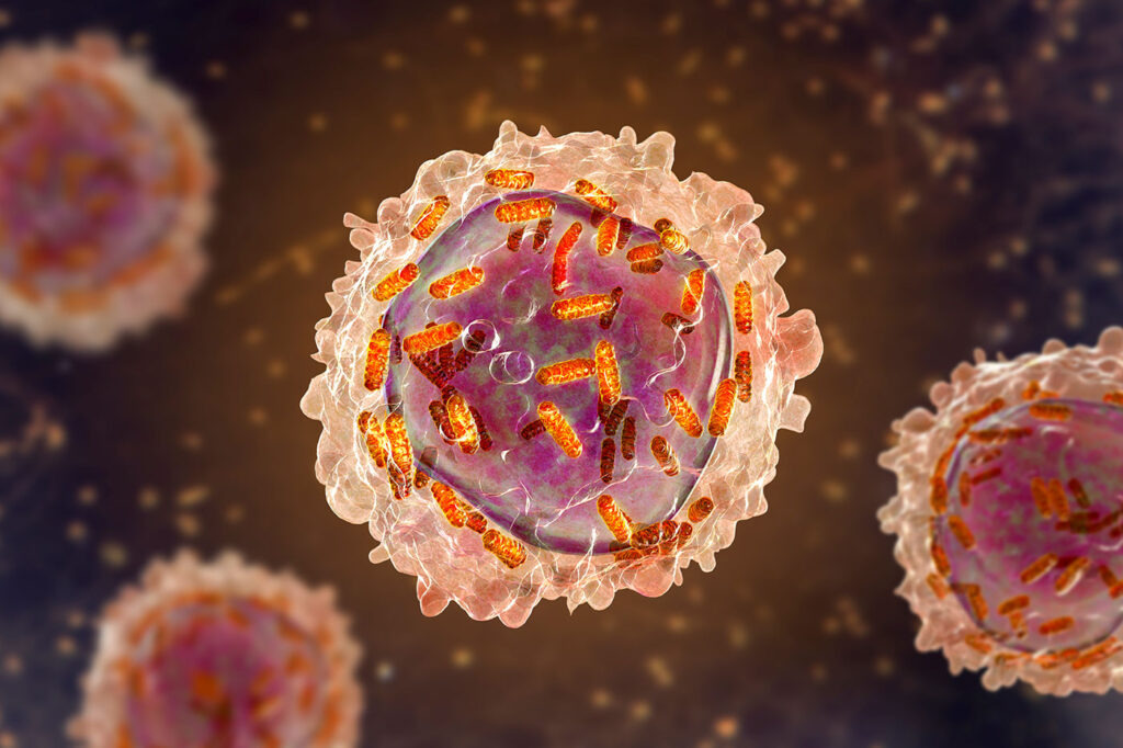 ashg:-nabsys-links-cytogenetics-and-genomics-to-map-hematologic-cancers