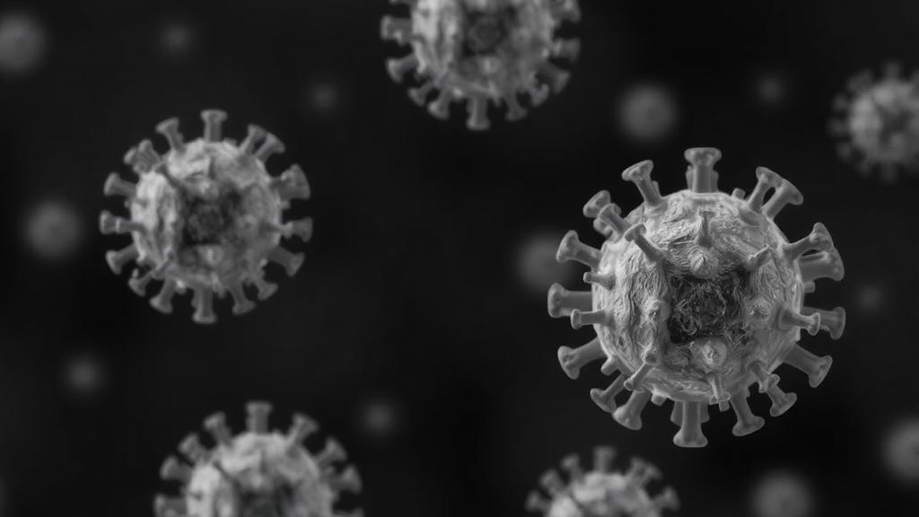 portland-state-virologists-win-$1-million-nsf-grant-to-trace-crucivirus-evolution