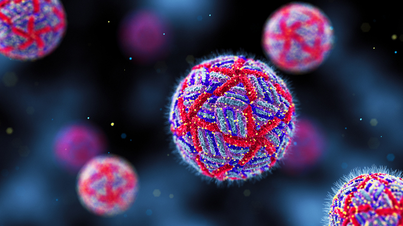 human-dengue-study-reveals-how-preexisting-immunity-shapes-secondary-infections