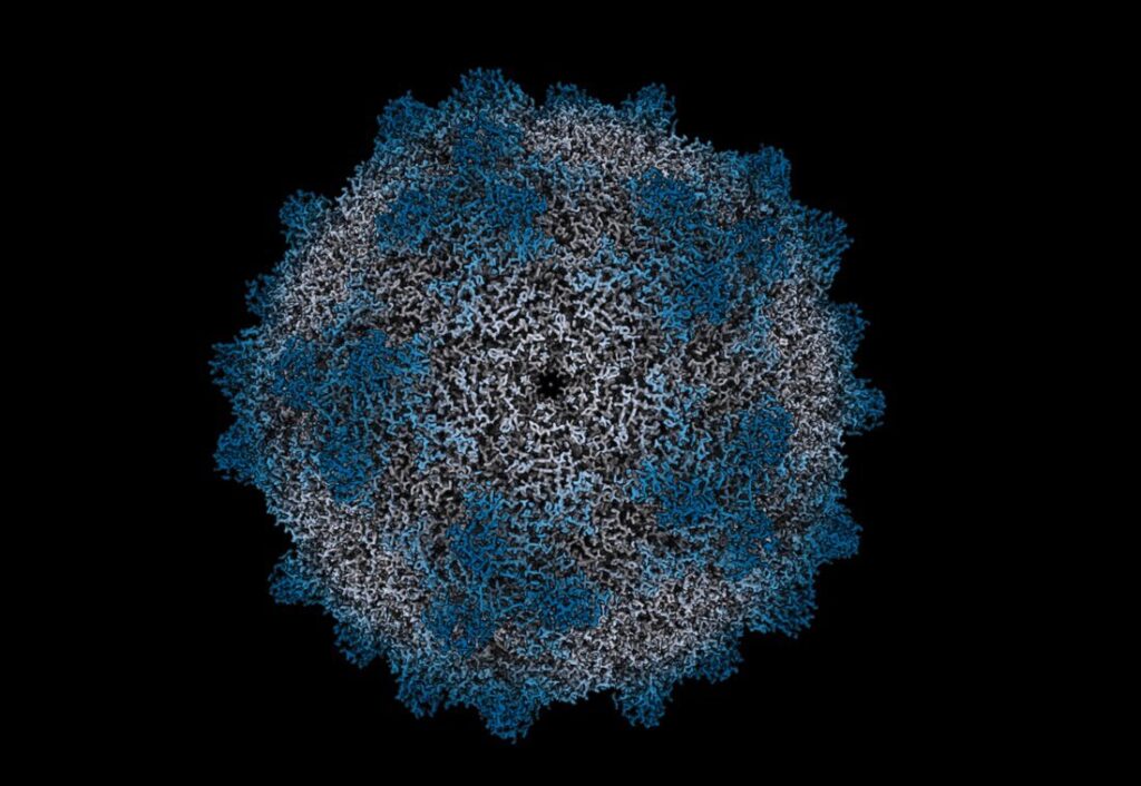 collaboration-and-roadmaps-key-to-capsid-accessibility