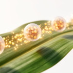 smart-nanocarriers-promise-sustained-delivery-of-biostimulants-for-sustainable-crops