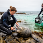 pairing-animal-trackers-with-underwater-cameras-reveals-hidden-ecology