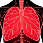 cardiovascular-disease-affects-one-in-twenty-asian-adults-in-pooled-analysis